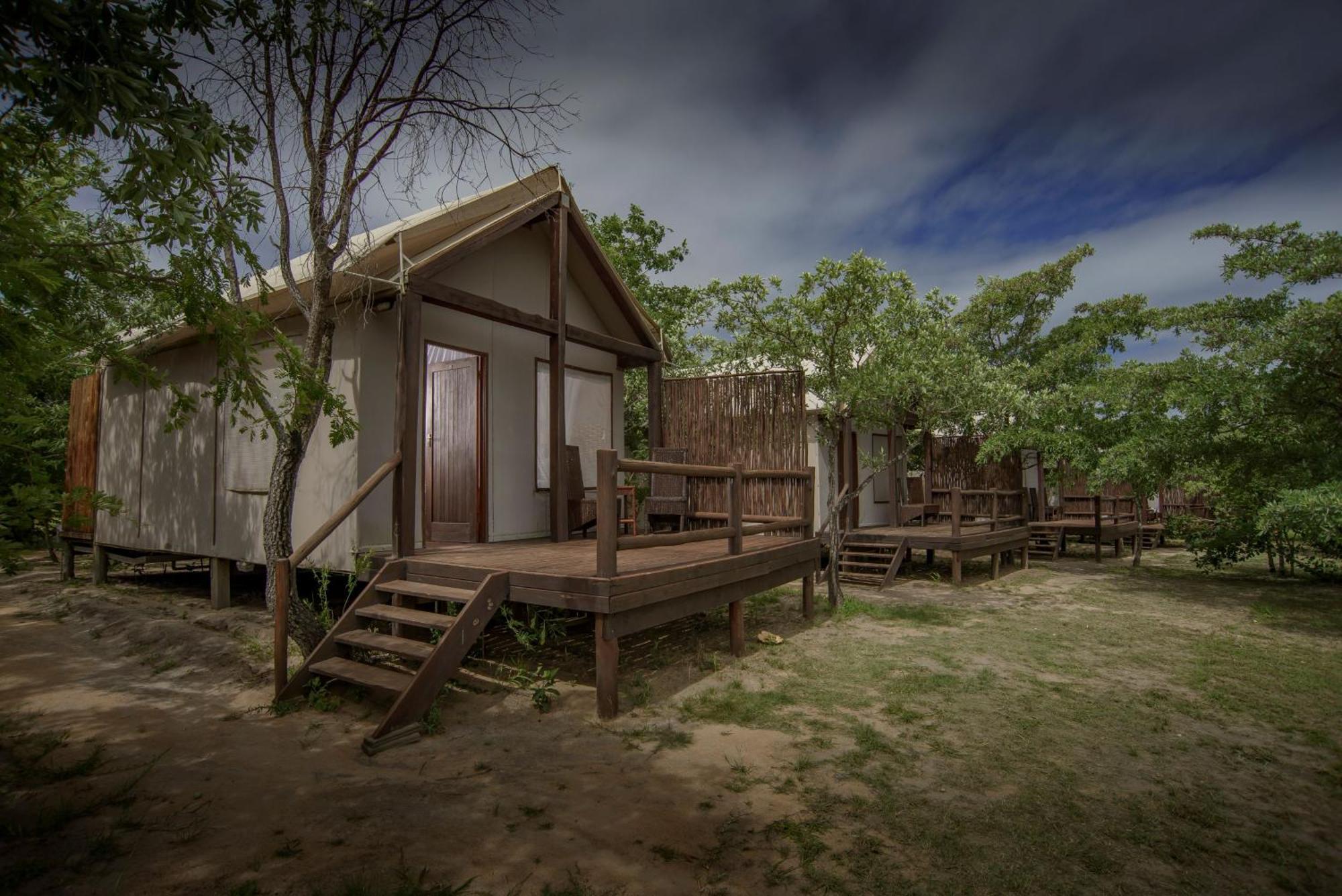 Vila Nkambeni Safari Camp Mtimba Exteriér fotografie